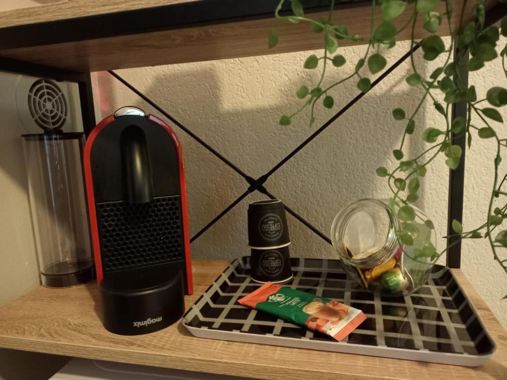 Appartement Calme Et Bien Situe Tarbes Eksteriør billede